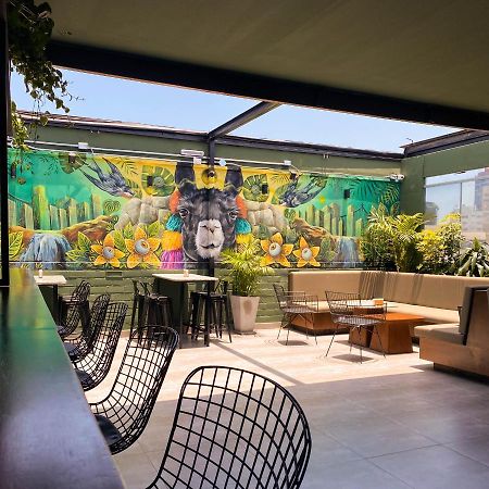Black Llama Hostel Miraflores 利马 外观 照片
