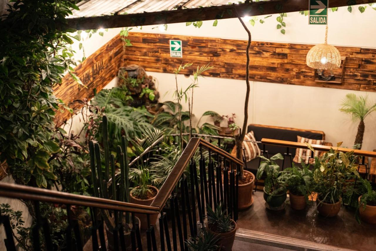 Black Llama Hostel Miraflores 利马 外观 照片