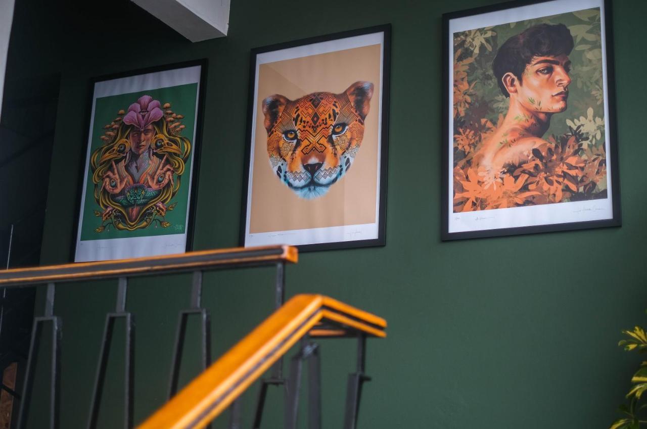 Black Llama Hostel Miraflores 利马 外观 照片