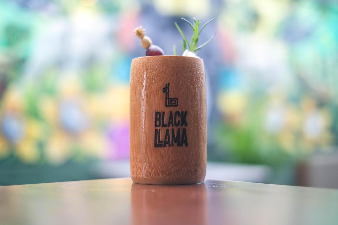 Black Llama Hostel Miraflores 利马 外观 照片