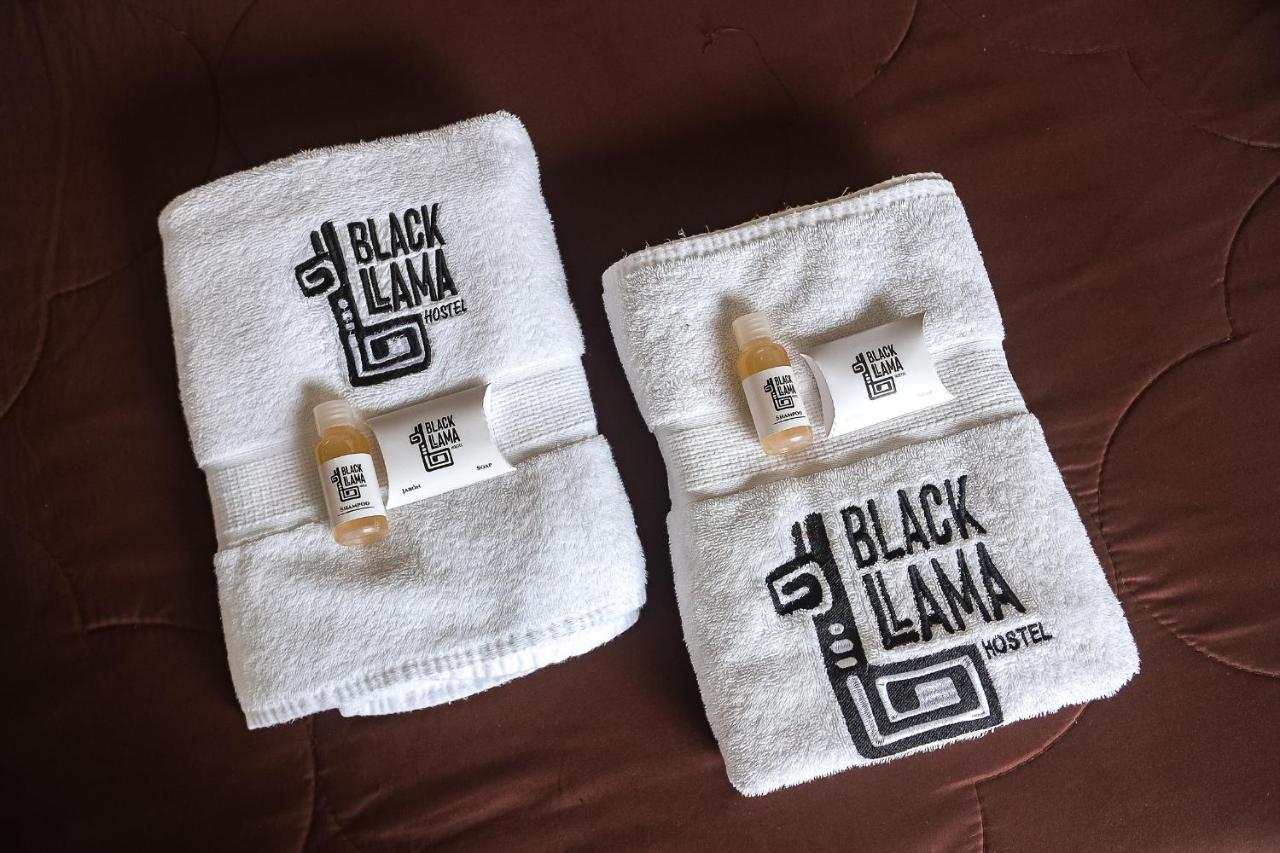 Black Llama Hostel Miraflores 利马 外观 照片