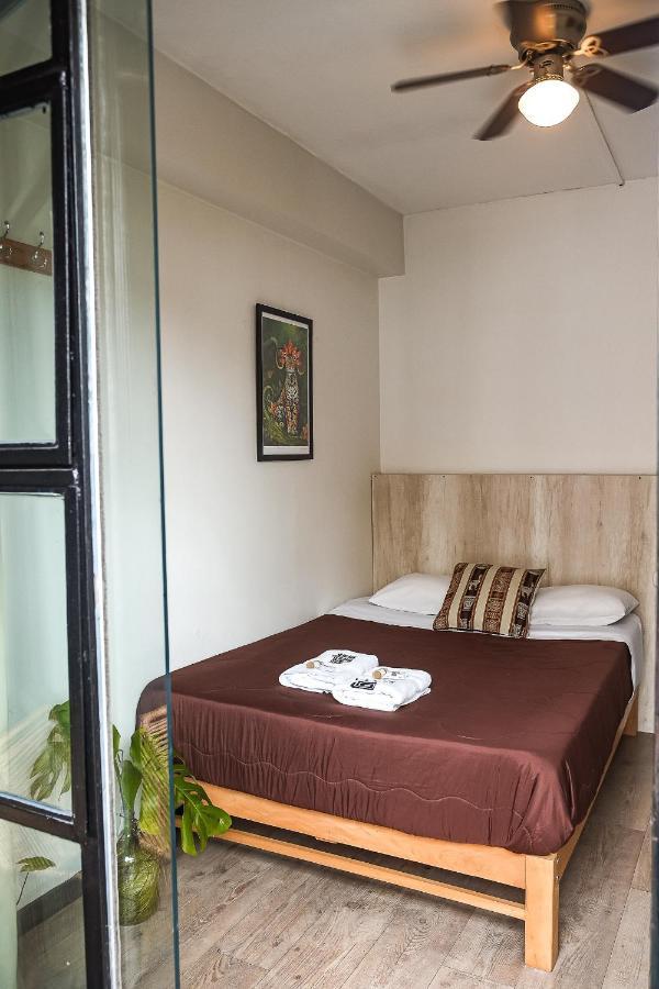 Black Llama Hostel Miraflores 利马 外观 照片