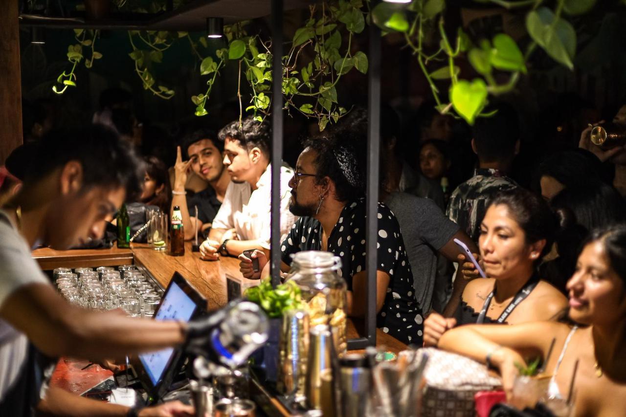Black Llama Hostel Miraflores 利马 外观 照片